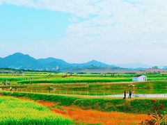 -光明小镇欢乐田园