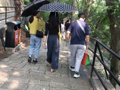 -上海佘山国家森林公园西佘山园