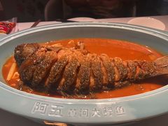 -阿五黄河大鲤鱼(英协路店)
