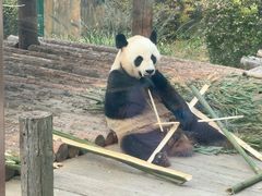 -大连森林动物园