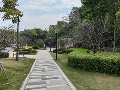 -清湖文化公园