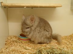 -龙猫仔乐园(惠福东路店)