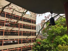 iphone_upload_pic-香港大学