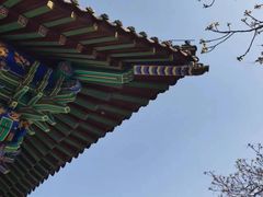 -护国法轮寺