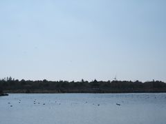 -上海海湾国家森林公园