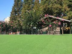 -青岛银河学校