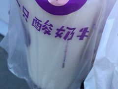 -一只酸奶牛(奎星楼店)