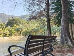 -深圳仙湖植物园