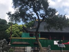 -上海方塔园