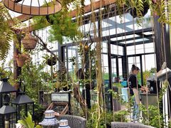 -大隐花事(熊婆婆的花园店)