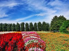 -富田农场