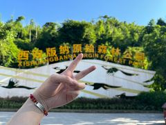 -西双版纳原始森林公园