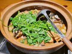 -九道菜有鸡鱼头(石鼓路店)