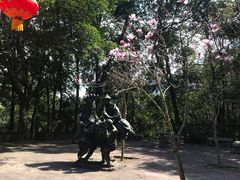 -广州市流溪河国家森林公园