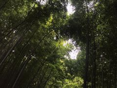 -宝岩生态观光园