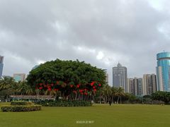 -万绿园