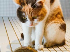 -CENCHI 汵奇咖啡(东四店)