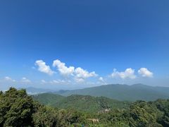-三亚亚龙湾人间天堂鸟巢度假村