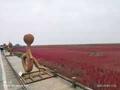 -红海滩国家风景廊道