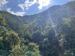-西双版纳原始森林公园