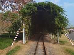 -径山花海