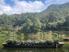 -深圳仙湖植物园