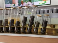 -雾与山茶(大禹城店)