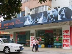 -瑞派动物医院·猫专科·至诚(江南中分院)