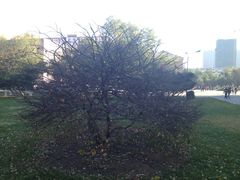 -辽宁大学(崇山校区)