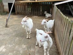 -苏州东太湖生态园