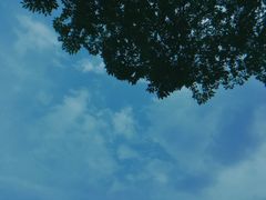 门面-新梅共和城