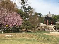 -丰台花园