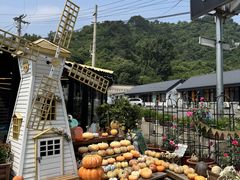 -京北渔家傲