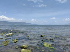 -大理洱海