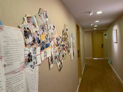 -海豚湾高端月子会所(黄浦店)