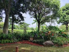 -东莞植物园