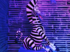 -梦幻奥陶纪景区