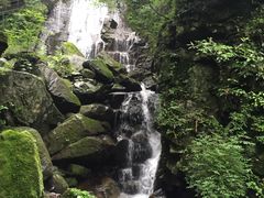 -藏龙百瀑风景区