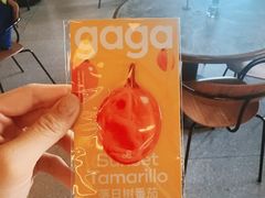 -gaga(北京新中关购物中心店)