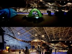 -世界恐龙谷景区