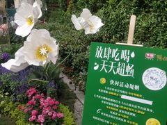 -思南公馆商业街