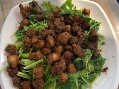 -丽泽山庄·生态怀柔菜·虹鳟鱼(红螺寺店)