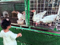 -可可天空农场(中大店)