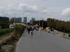 -南汇新城海滩