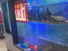 -鱼酷活鱼烤鱼(南京水游城店)