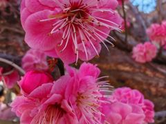 -汉长安城未央宫国家考古遗址公园