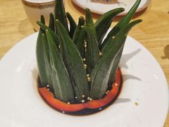 -蒙料·手把肉(望京店)