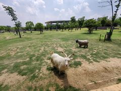 -南京金牛湖风景区