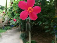 -祥源·阜阳生态乐园