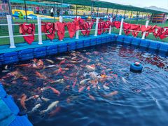 -千岛湖-欢乐水世界